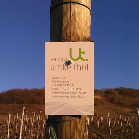 Ferienweingut Ulrike Thul