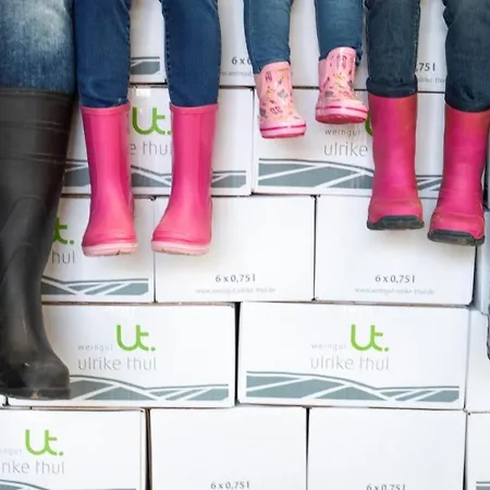 Daire Ferienweingut Ulrike Thul *