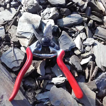 Ferienweingut Ulrike Thul Leiwen