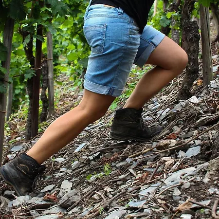Daire Ferienweingut Ulrike Thul Leiwen
