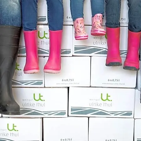 Appartamento Ferienweingut Ulrike Thul