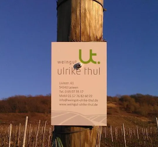 Ferienweingut Ulrike Thul
