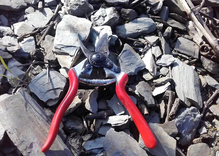 Ferienweingut Ulrike Thul Leiwen