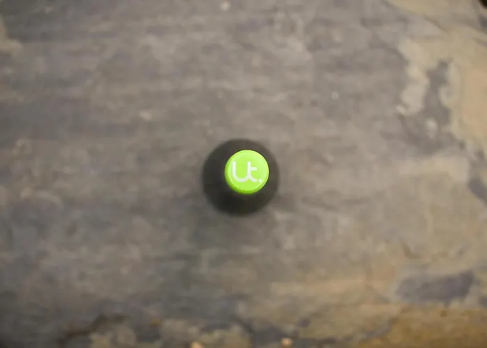 Ferienweingut Ulrike Thul Leiwen