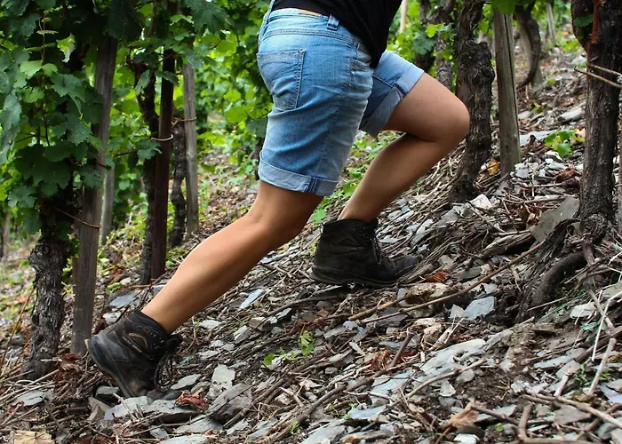Lägenhet Ferienweingut Ulrike Thul Leiwen